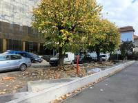 Imagine atasata: 20251106_131911.jpg